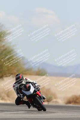 media/Oct-13-2025-Moto Forza (Mon) [[a66d839500]]/3-B Group/Session 4 Turn 4 Tree of Life/